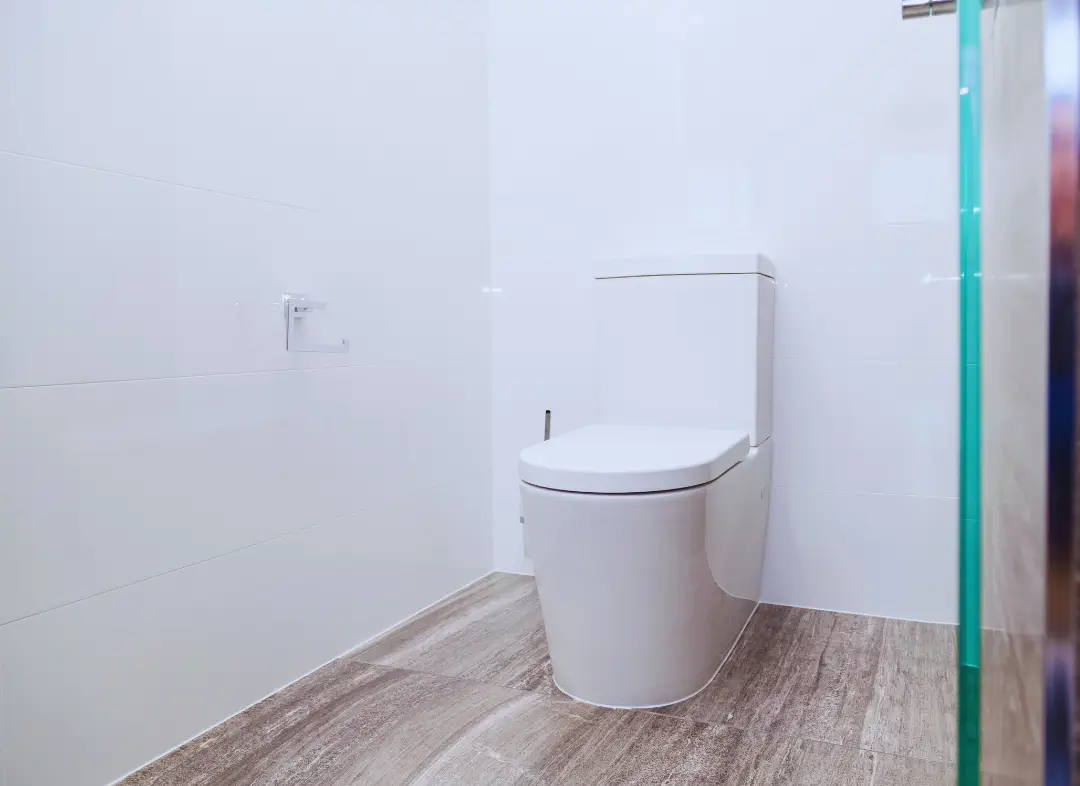 Remplacement de wc Noyant-Villages